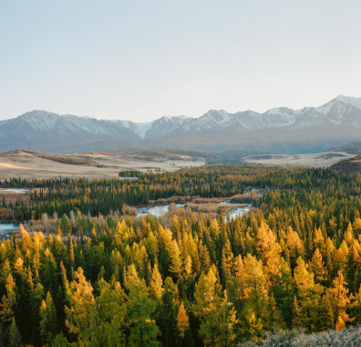 services-img Services Img